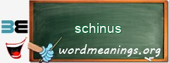 WordMeaning blackboard for schinus